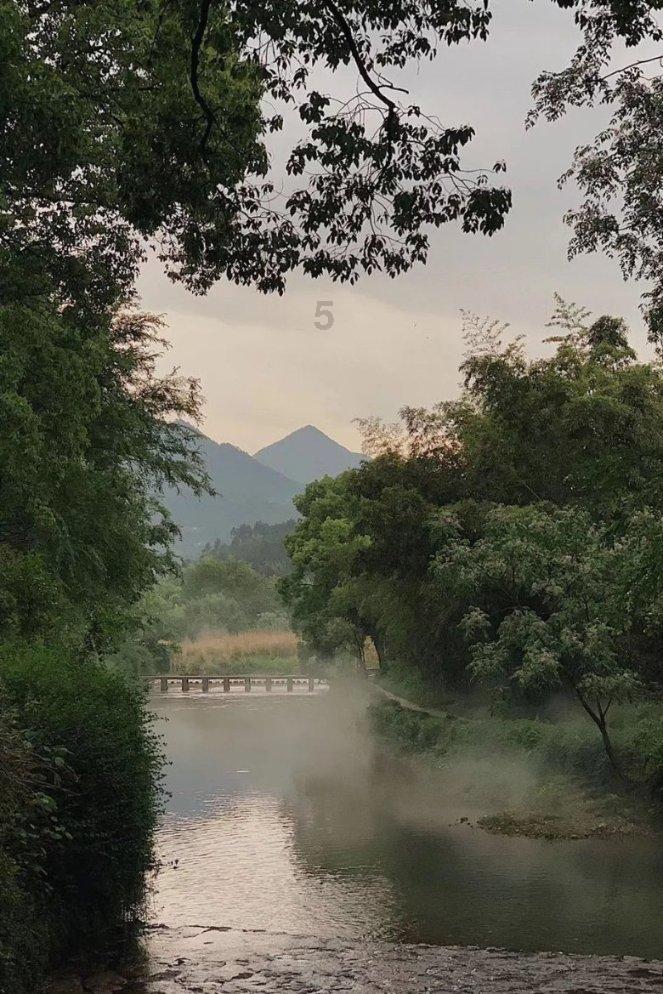 植物大战僵尸反击篇